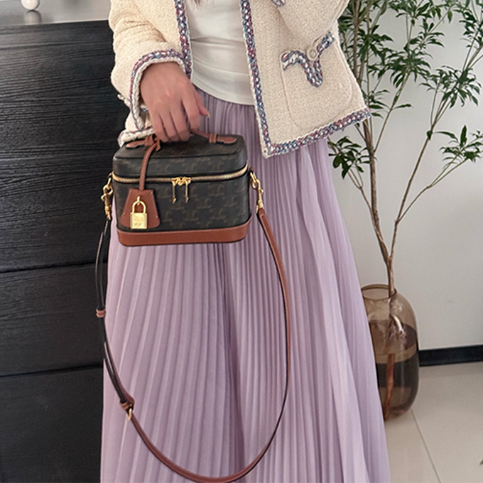 celine triomphe canvas vanity box bag